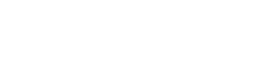 Logo tesalva
